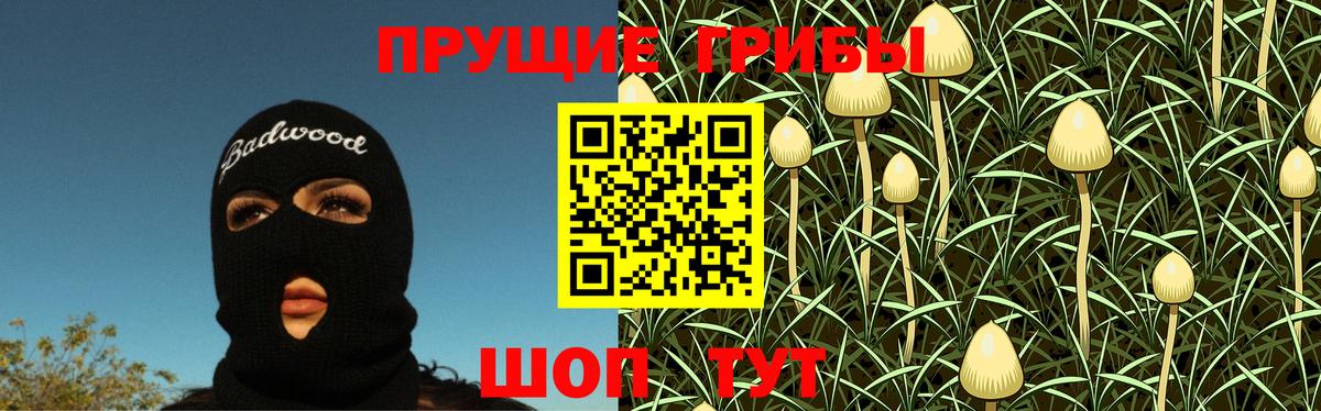 Галлюциногенные грибы Psilocybine cubensis Надым